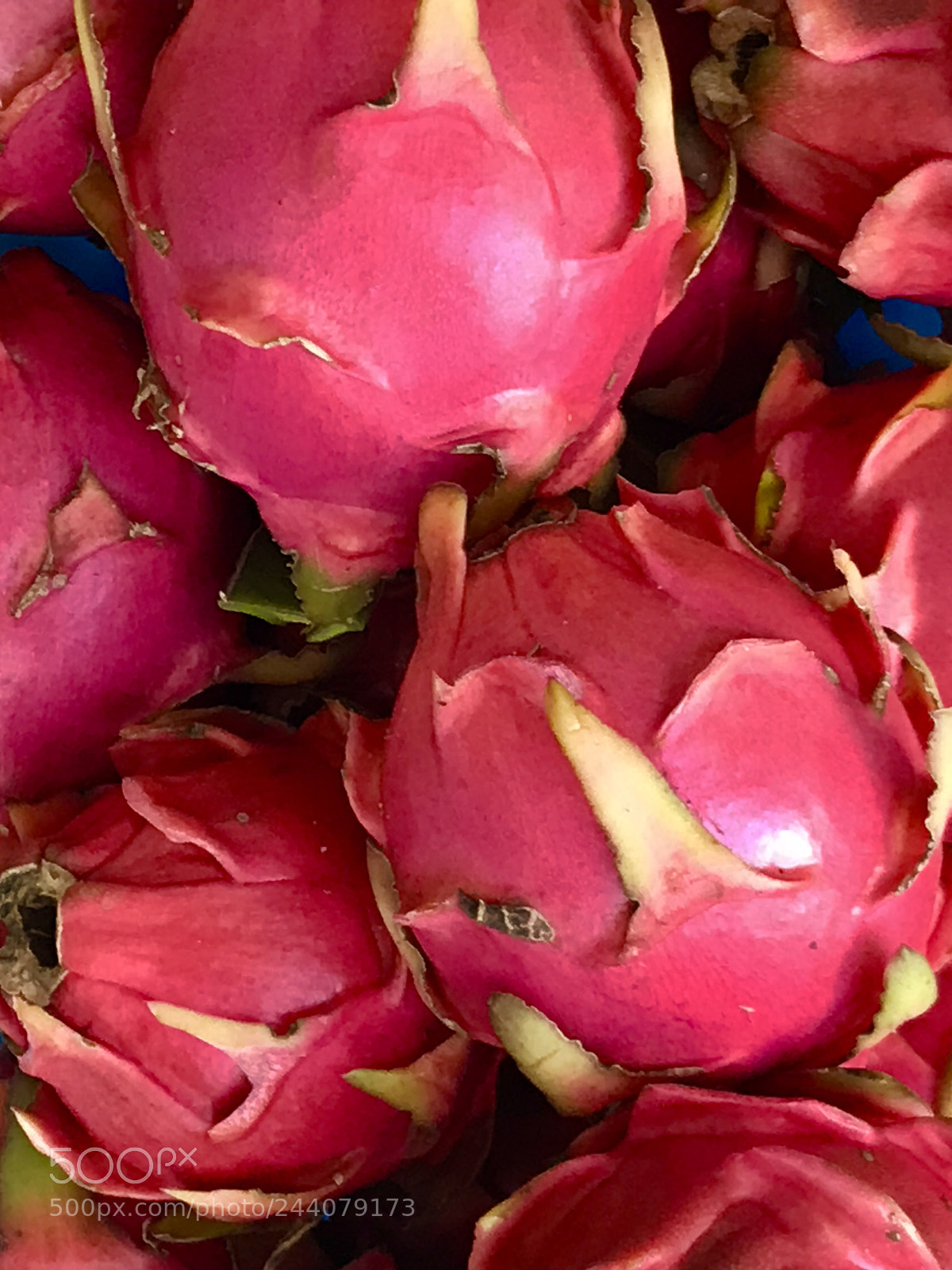 Apple iPhone 7 Plus sample photo. Starting photography