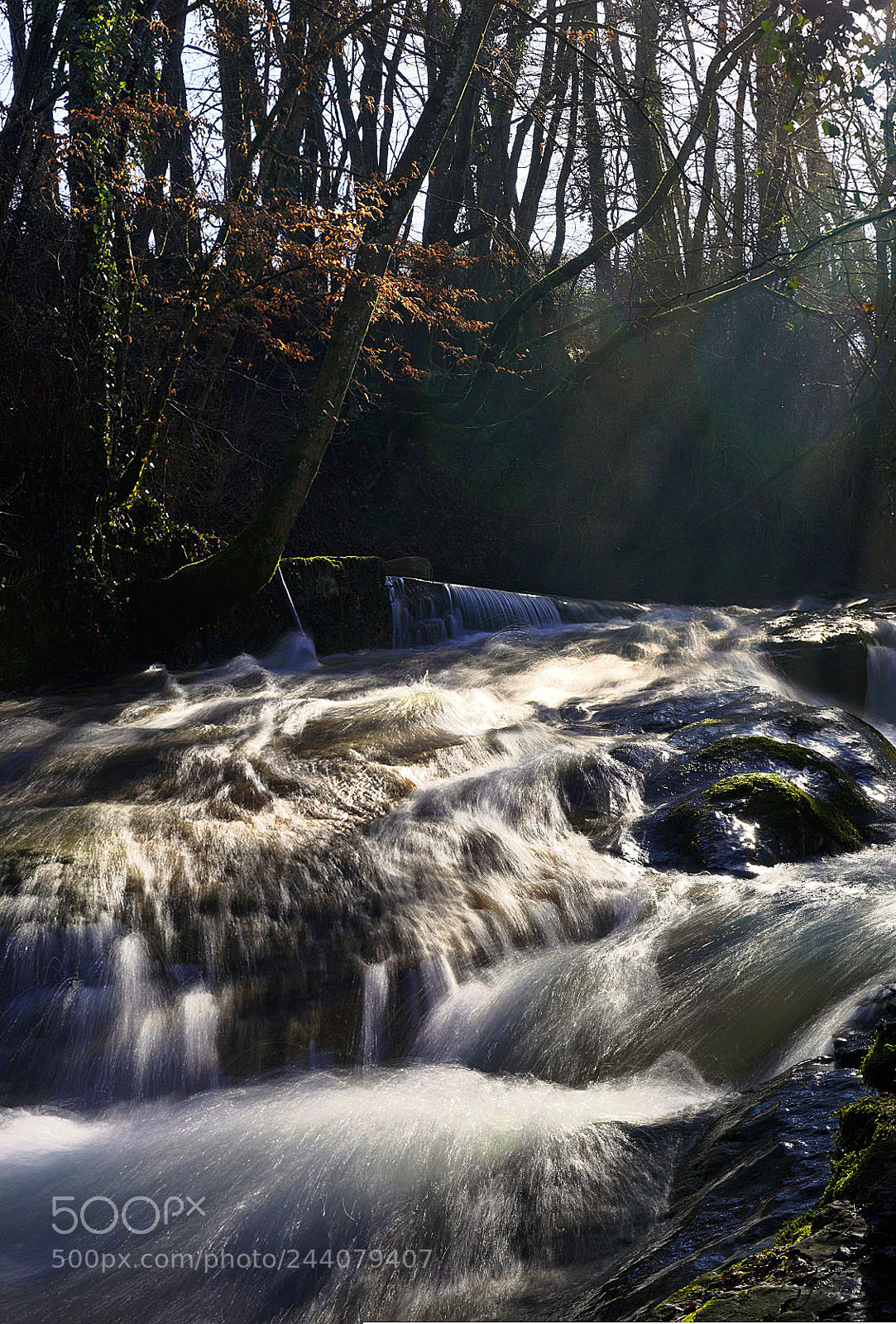 Sony ILCA-77M2 sample photo. Sun ray on the photography