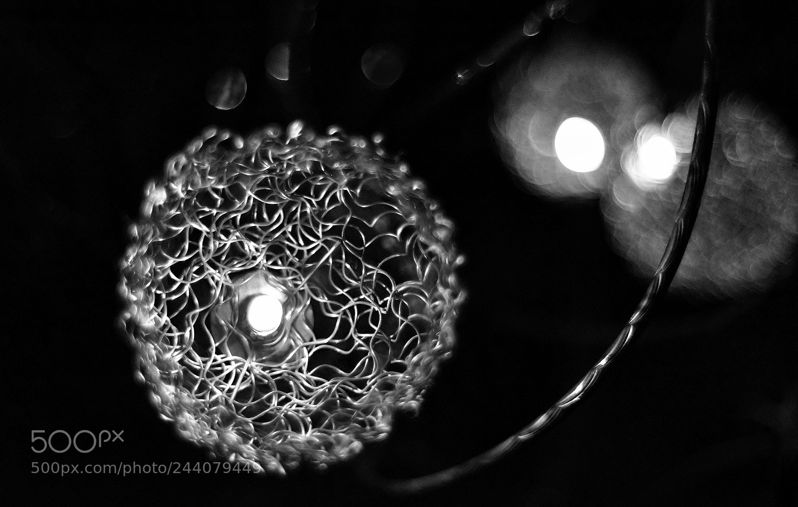 Nikon D810 sample photo. Untitled photography