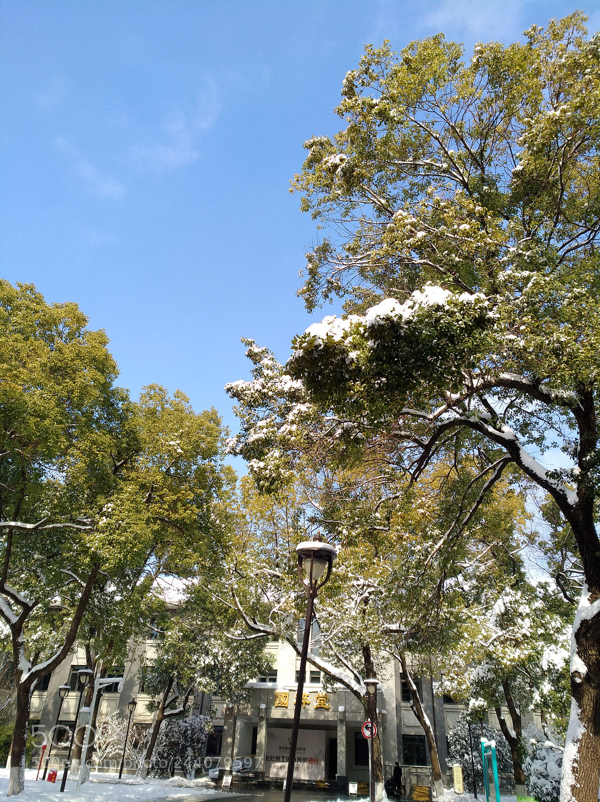 HUAWEI nova sample photo. Untitled photography