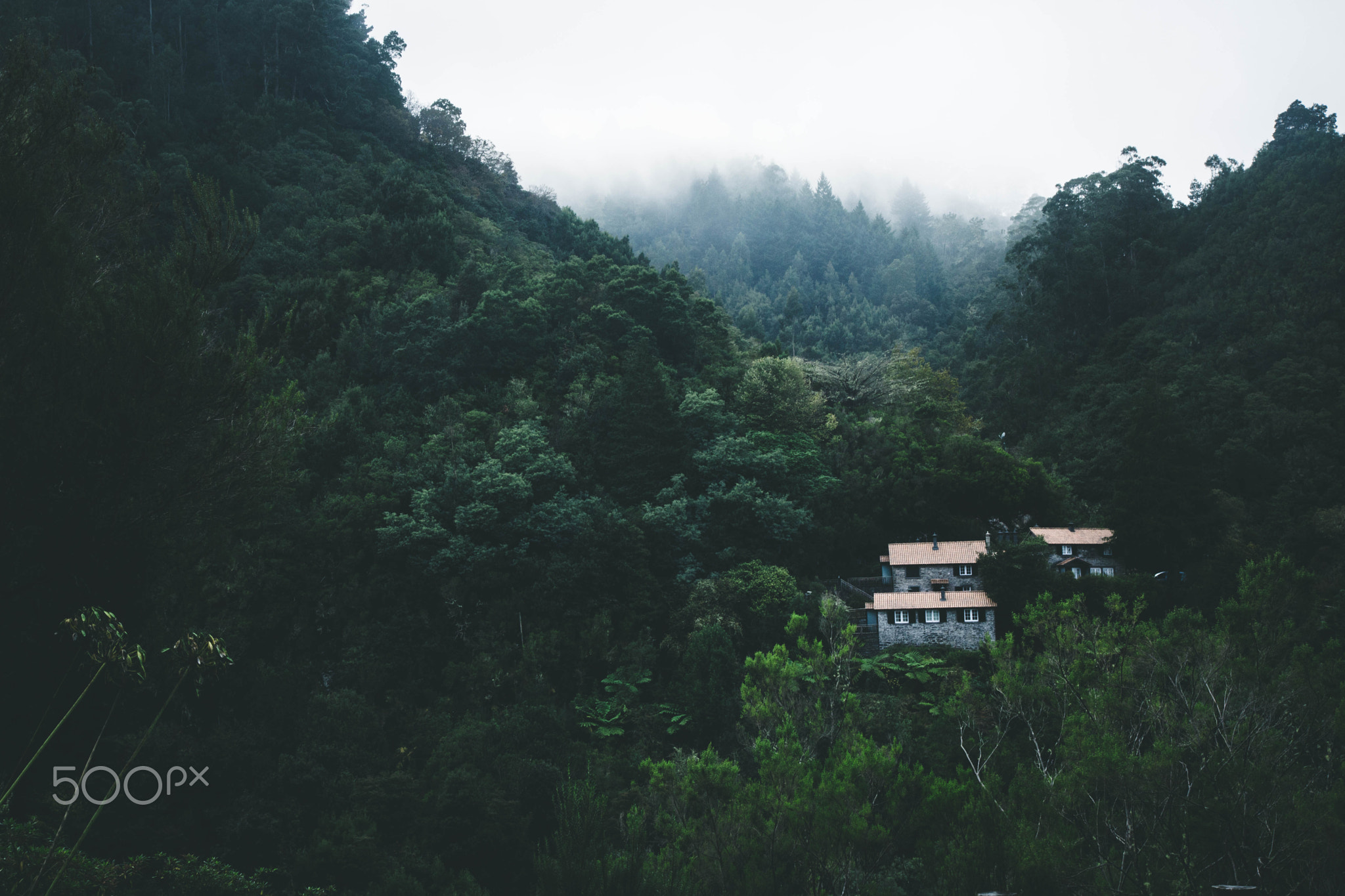 Houses