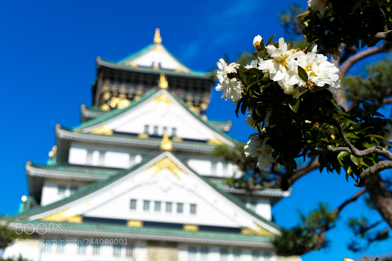 Leica M9 sample photo. Osaka city photography