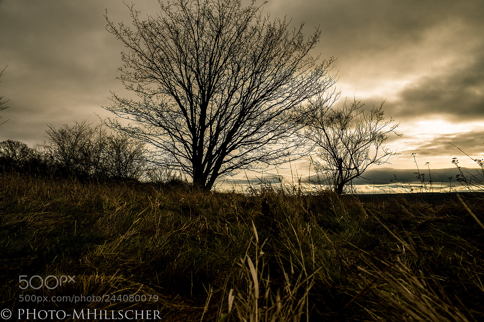 Fujifilm X-T2 sample photo. Gray, cold morning photography