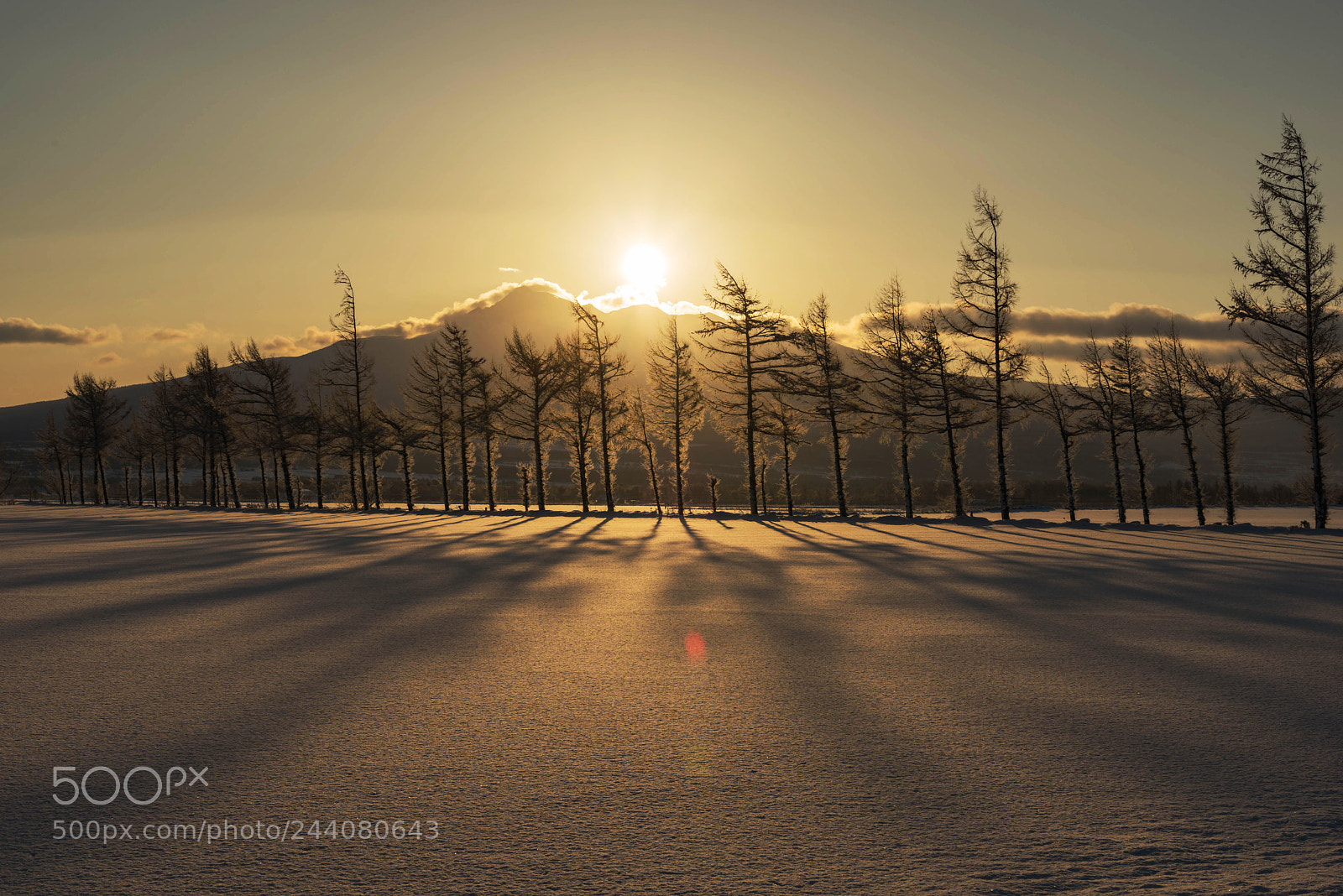 Nikon D810 sample photo. Untitled photography