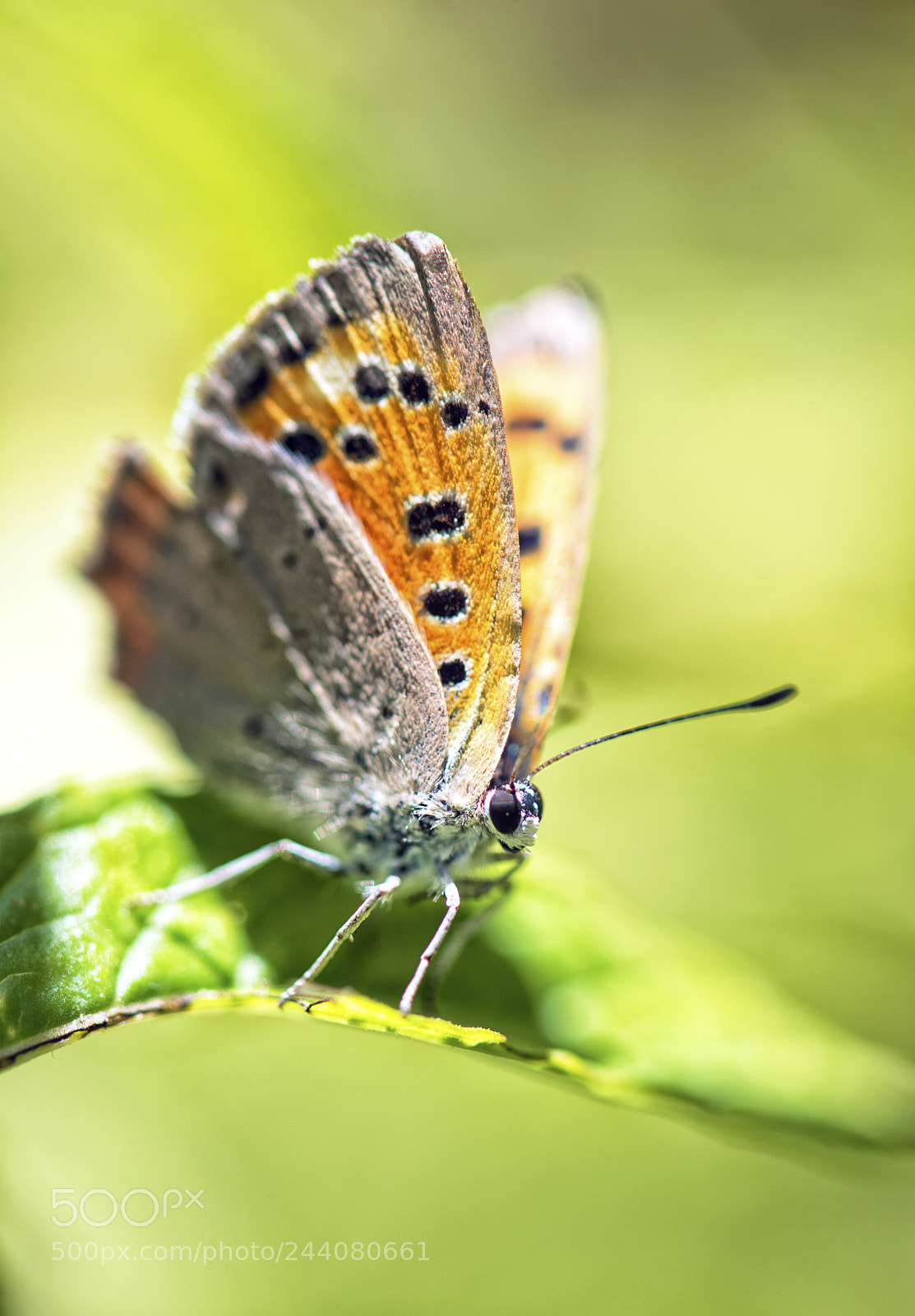 Nikon D810 sample photo. I just rest for photography