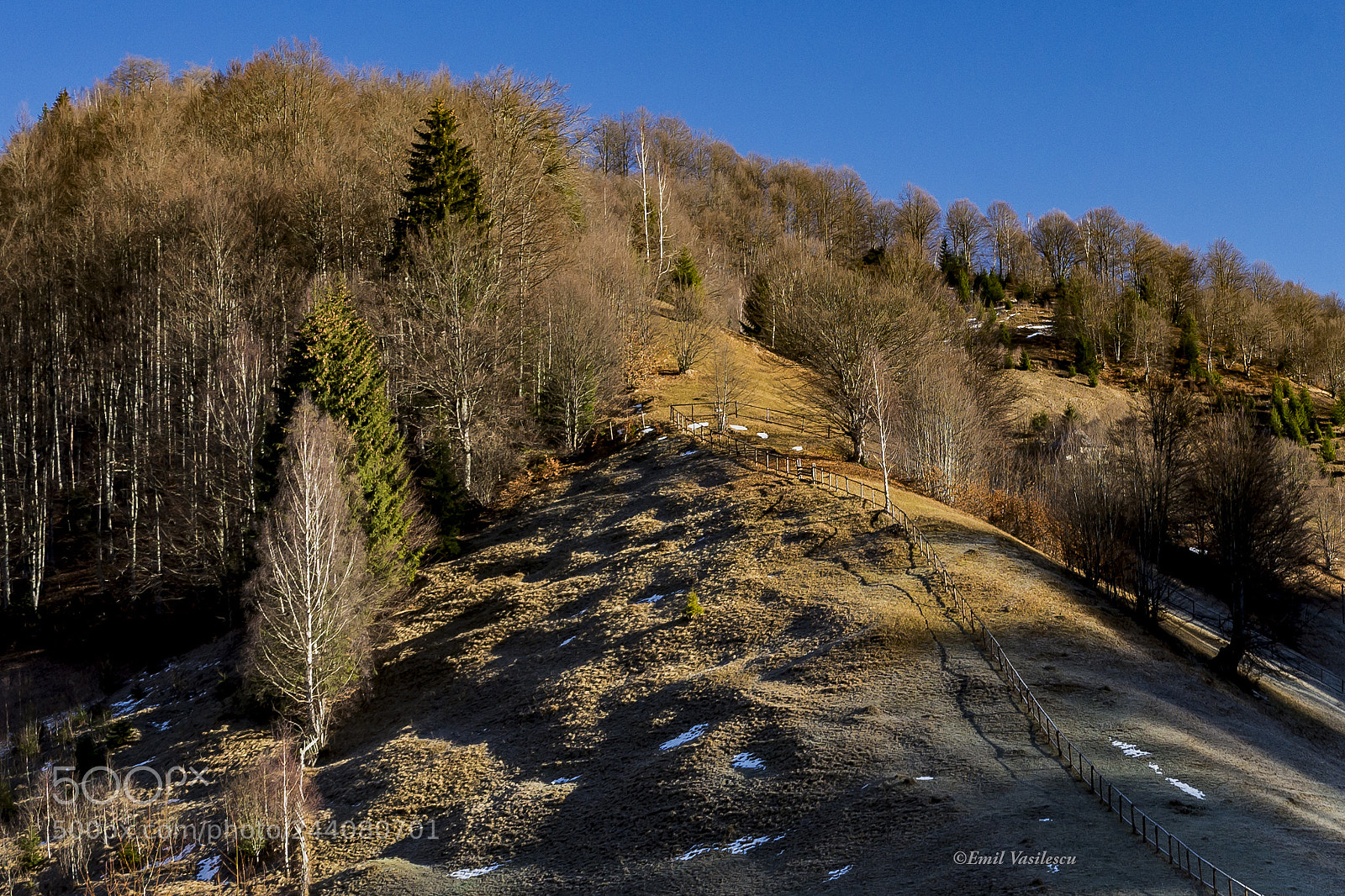 Nikon D610 sample photo. Muntii piatra craiului, romania photography