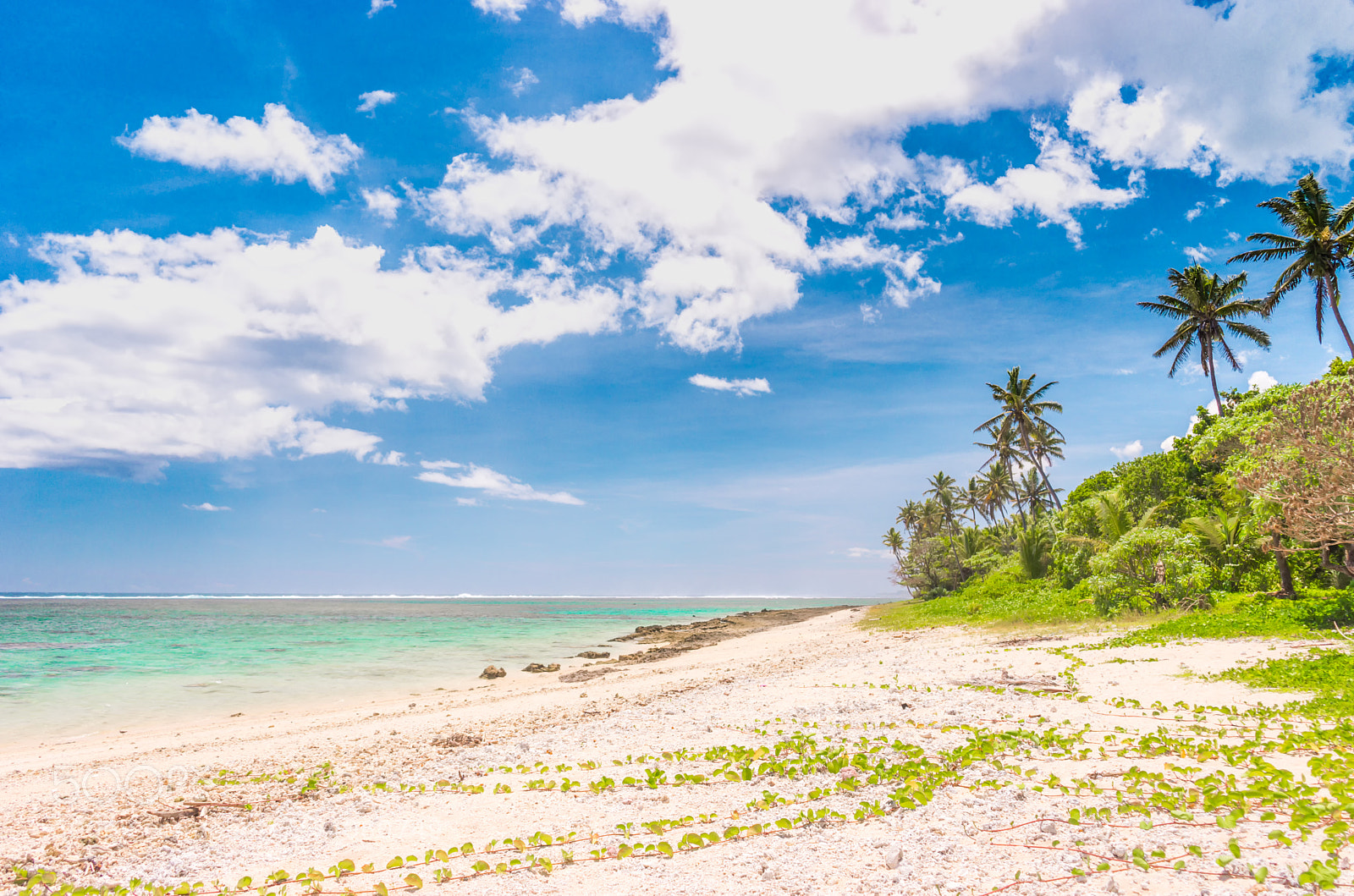 Sony a7 II sample photo. Sun kiss shore photography