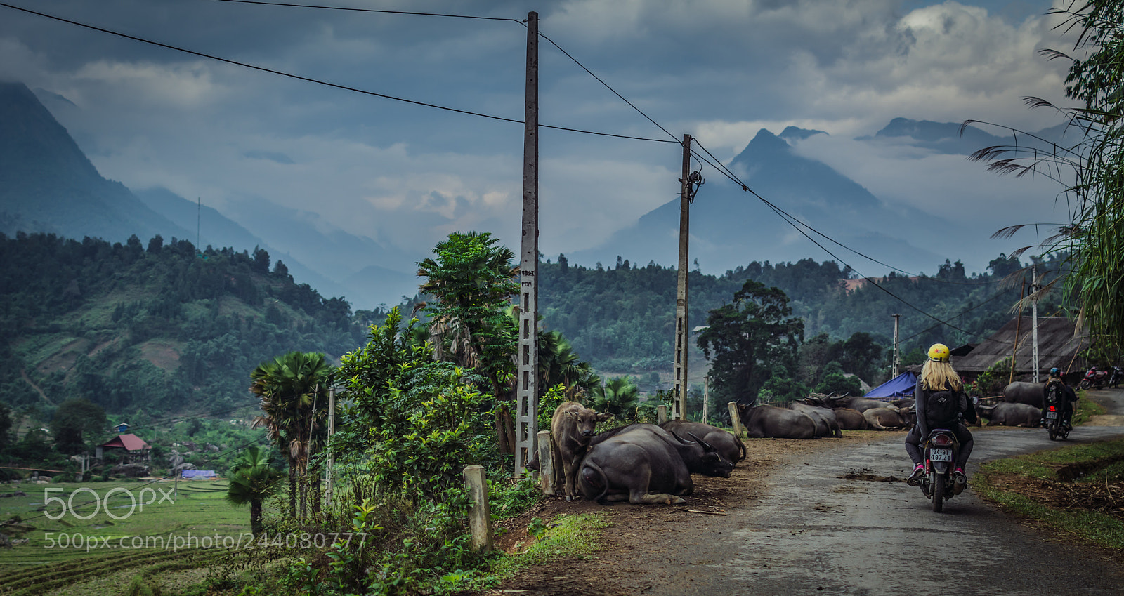 Nikon D7100 sample photo. Wandering around in sapa photography