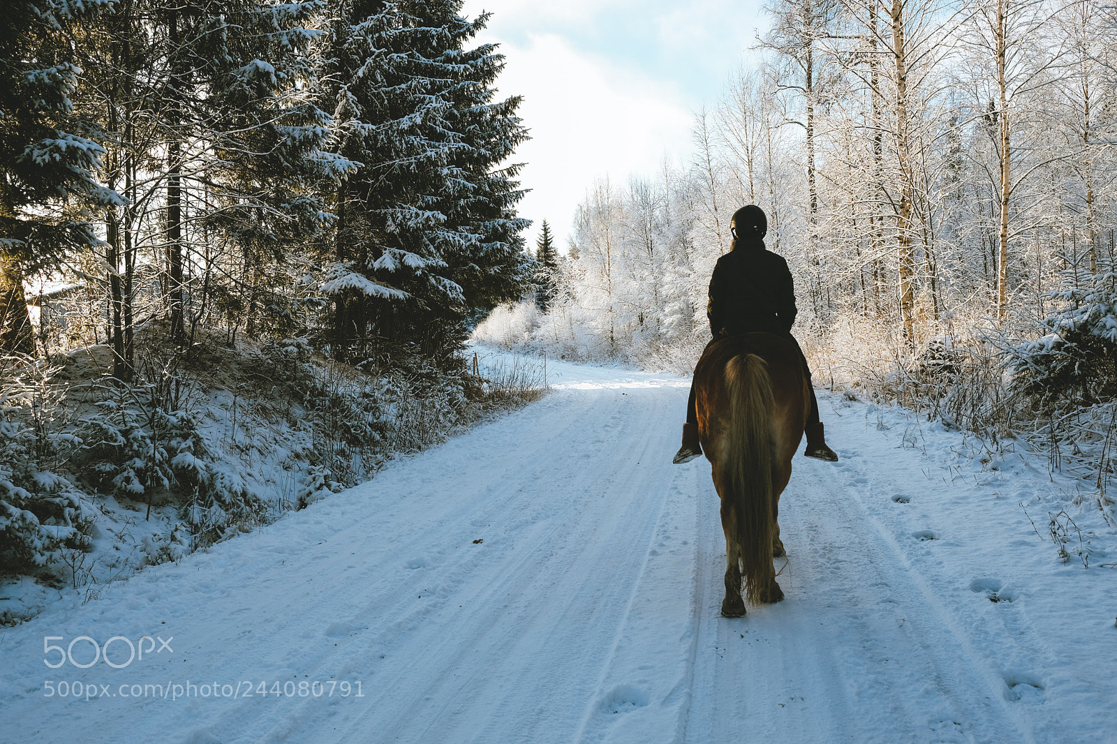 Fujifilm X-T2 sample photo. Horse riding winter photography