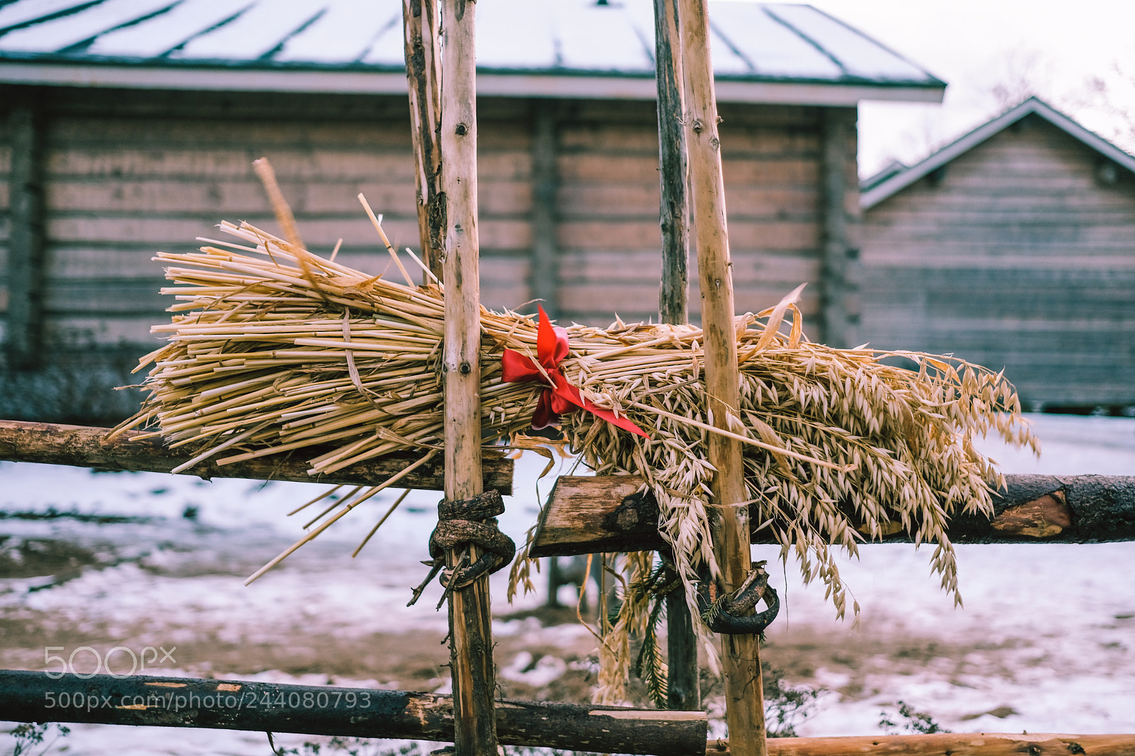 Fujifilm X-T2 sample photo. Oat ornament on old photography