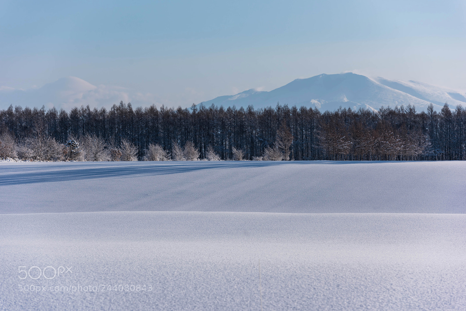 Nikon D810 sample photo. Untitled photography