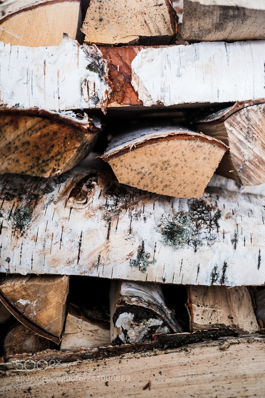 Fujifilm X-T2 sample photo. Firewood pile photography