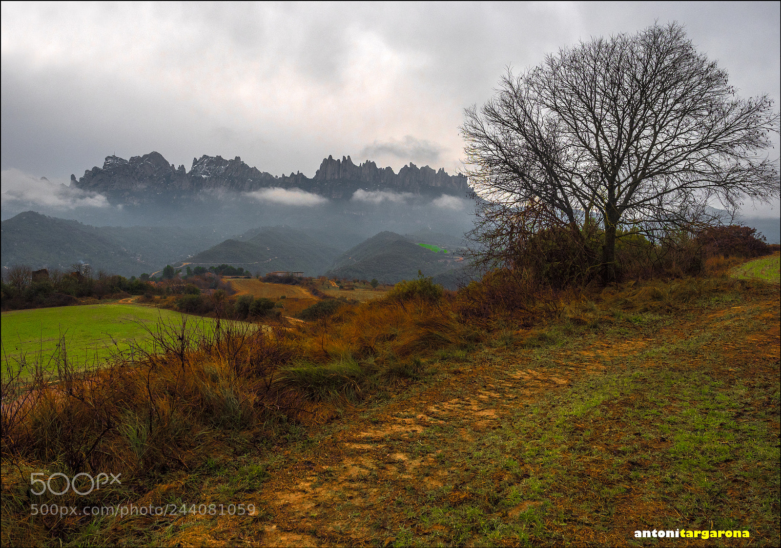 Olympus OM-D E-M1 Mark II sample photo. Montserrat photography