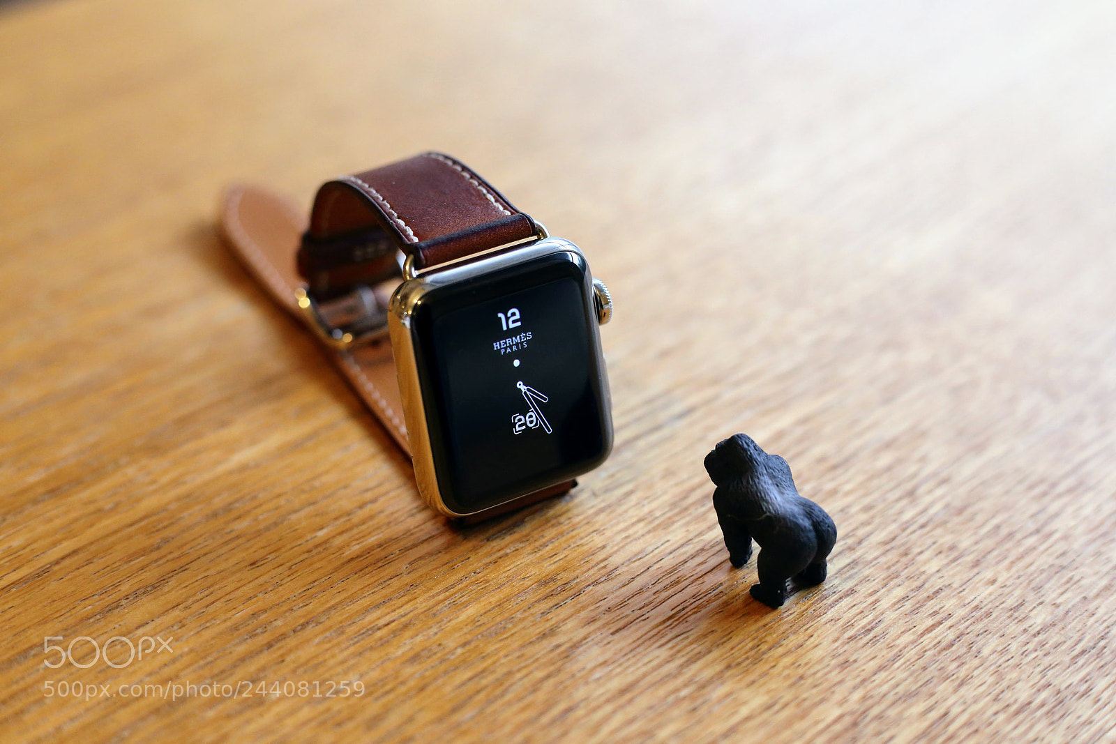 Canon EOS 6D + Canon EF 50mm F1.8 STM sample photo. Watch and gorilla photography