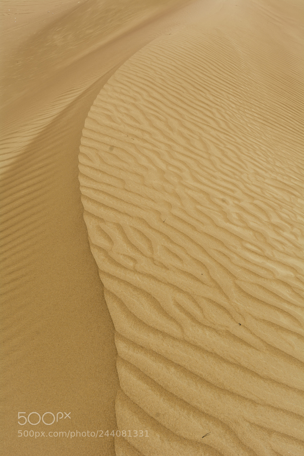 Nikon D7100 sample photo. Sandy dunes photography