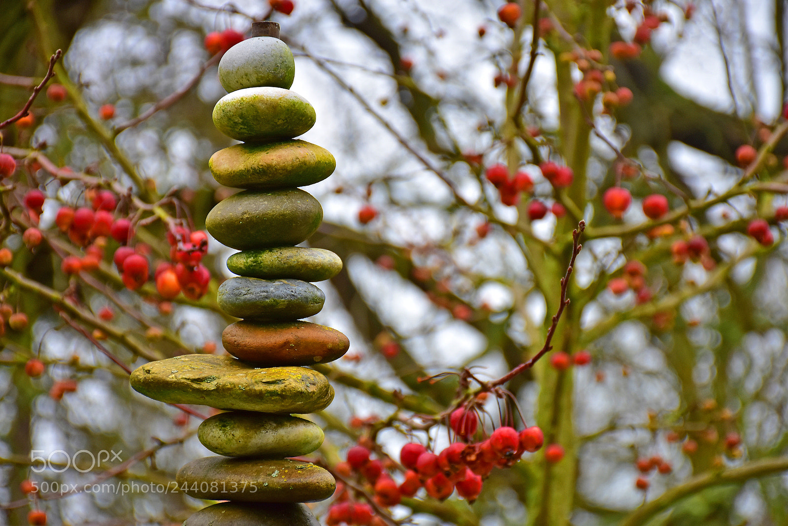 Nikon D7200 sample photo. Stones and fruits photography