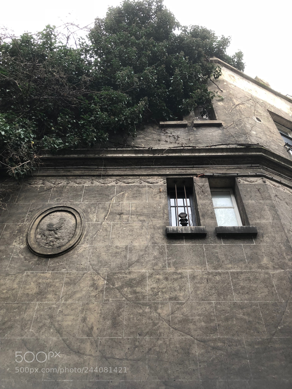 Apple iPhone 8 sample photo. Untitled photography