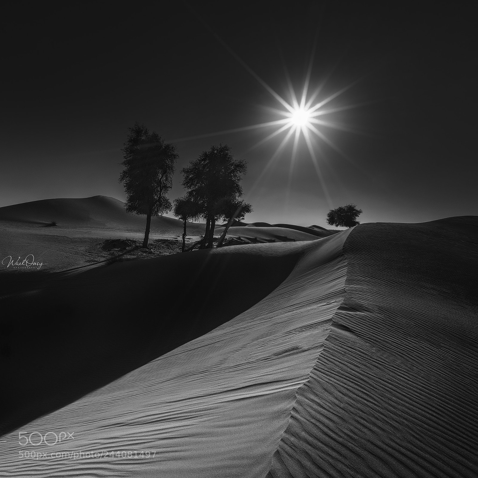 Sony a7R II sample photo. Alfaqaa photography