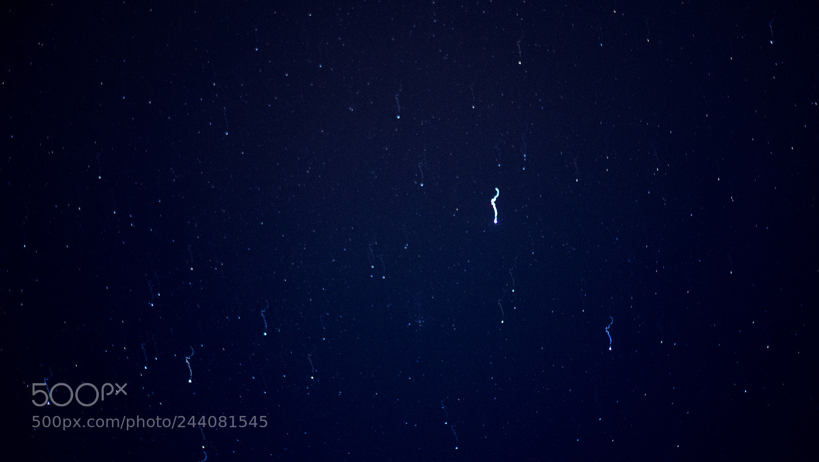 Nikon D3100 sample photo. Falling stars photography