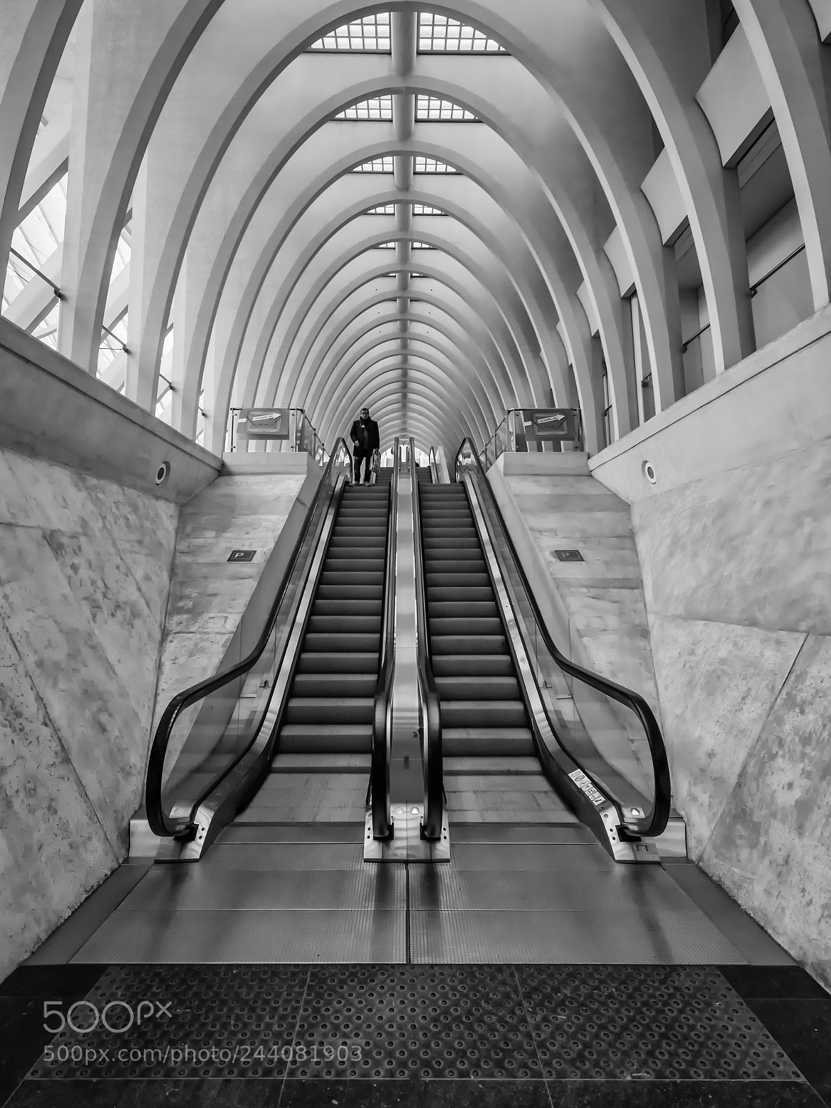 Nikon D810 sample photo. Bahnhof liège-guillemins_escalator photography