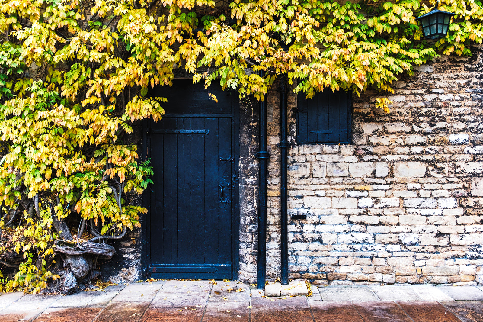 Fujifilm X-T2 sample photo. Doors and windows photography