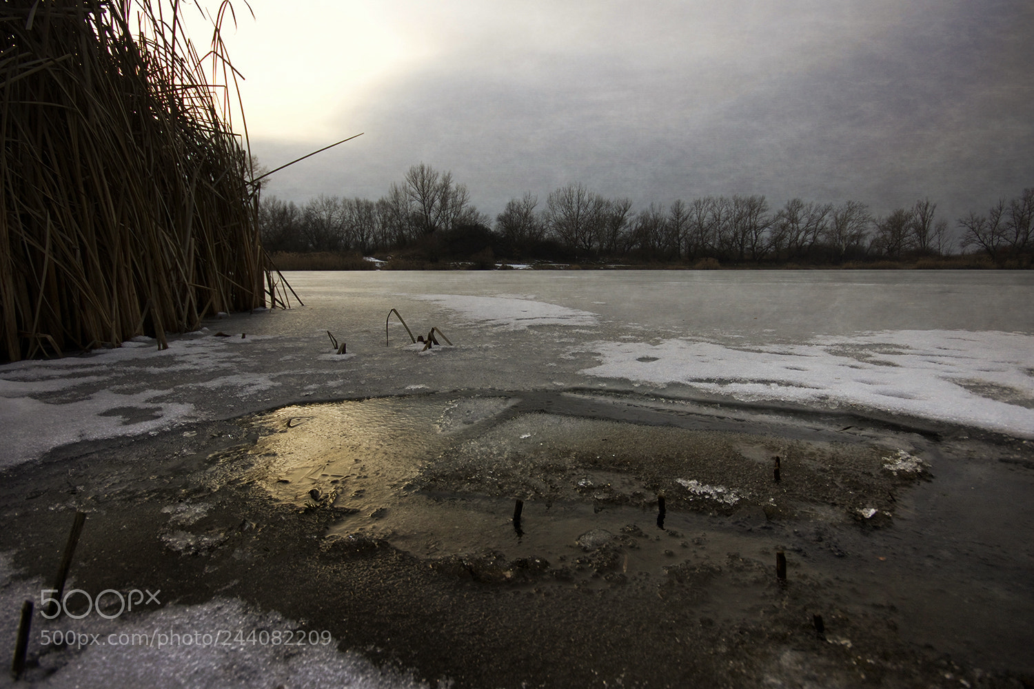 Canon EOS 7D Mark II sample photo. Winter lights photography