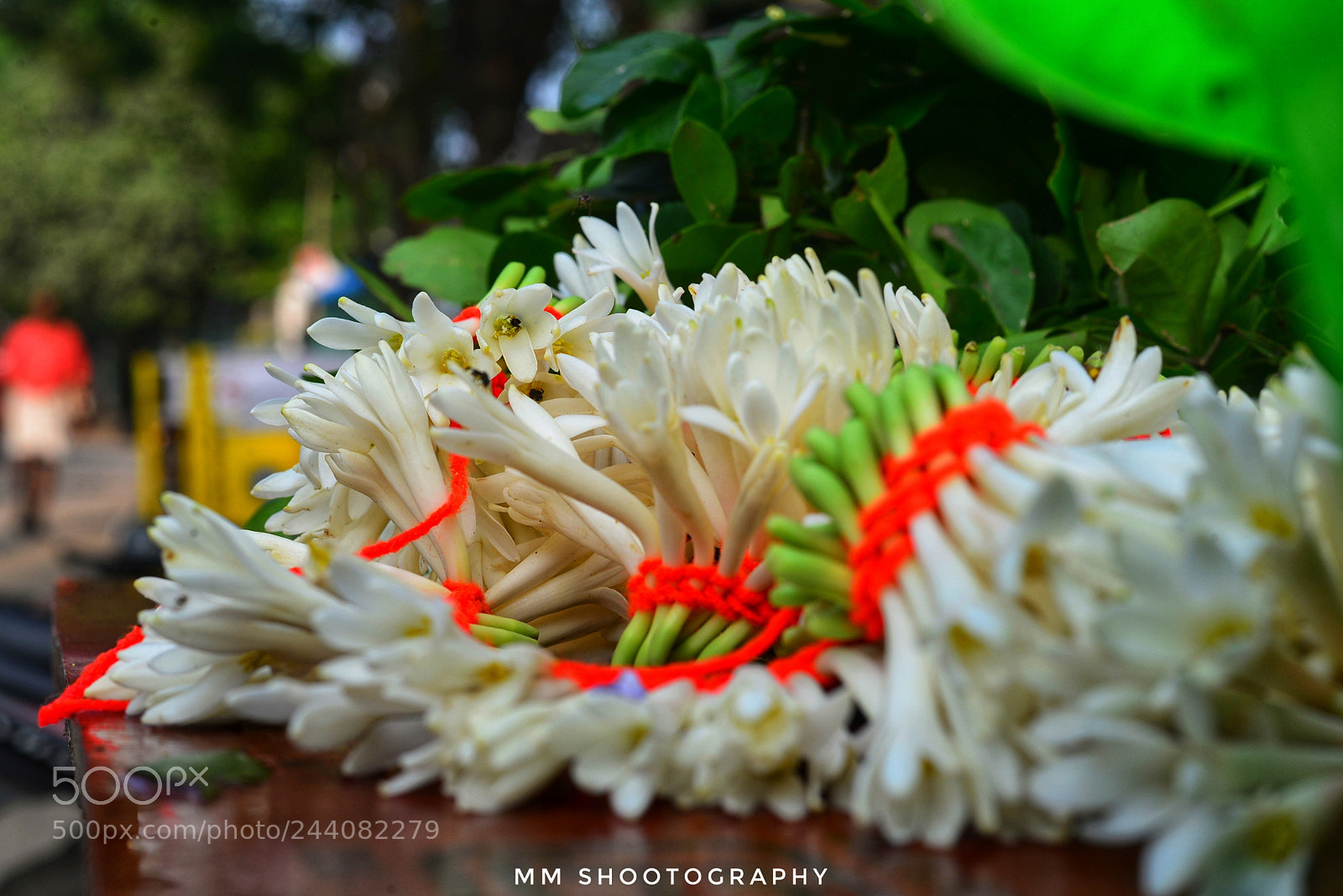 Nikon D610 sample photo. Republic day special photography