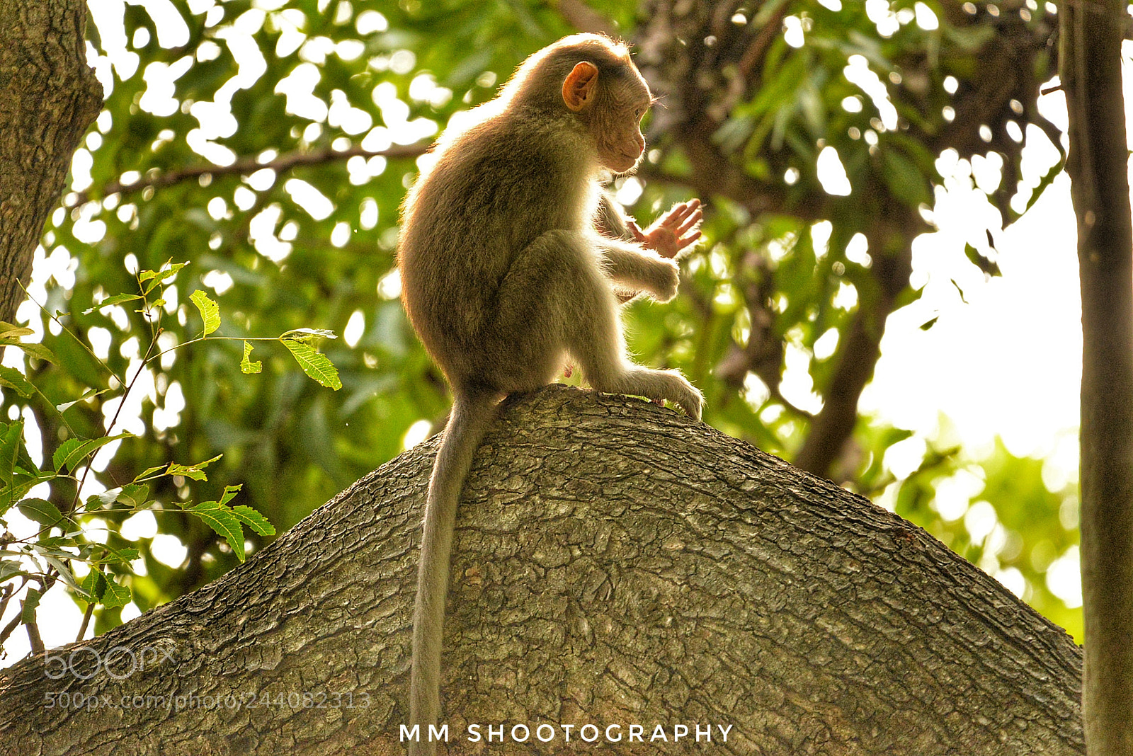 Nikon D610 sample photo. Silence photography