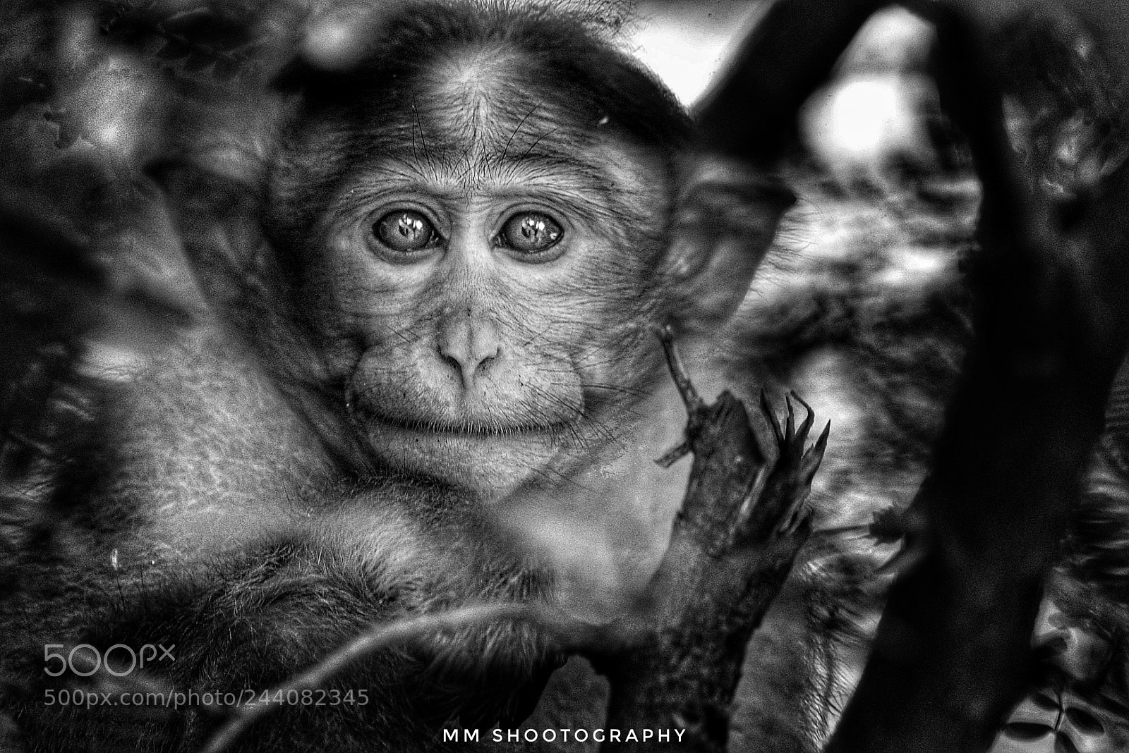 Nikon D610 sample photo. Eyes photography