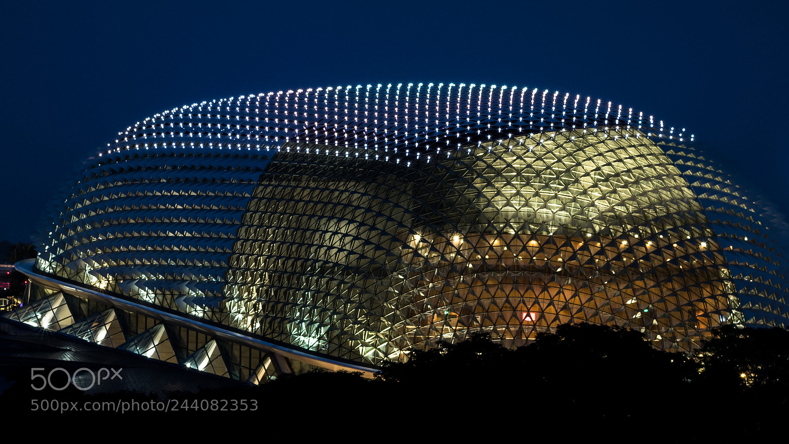 Nikon D850 sample photo. Durian photography