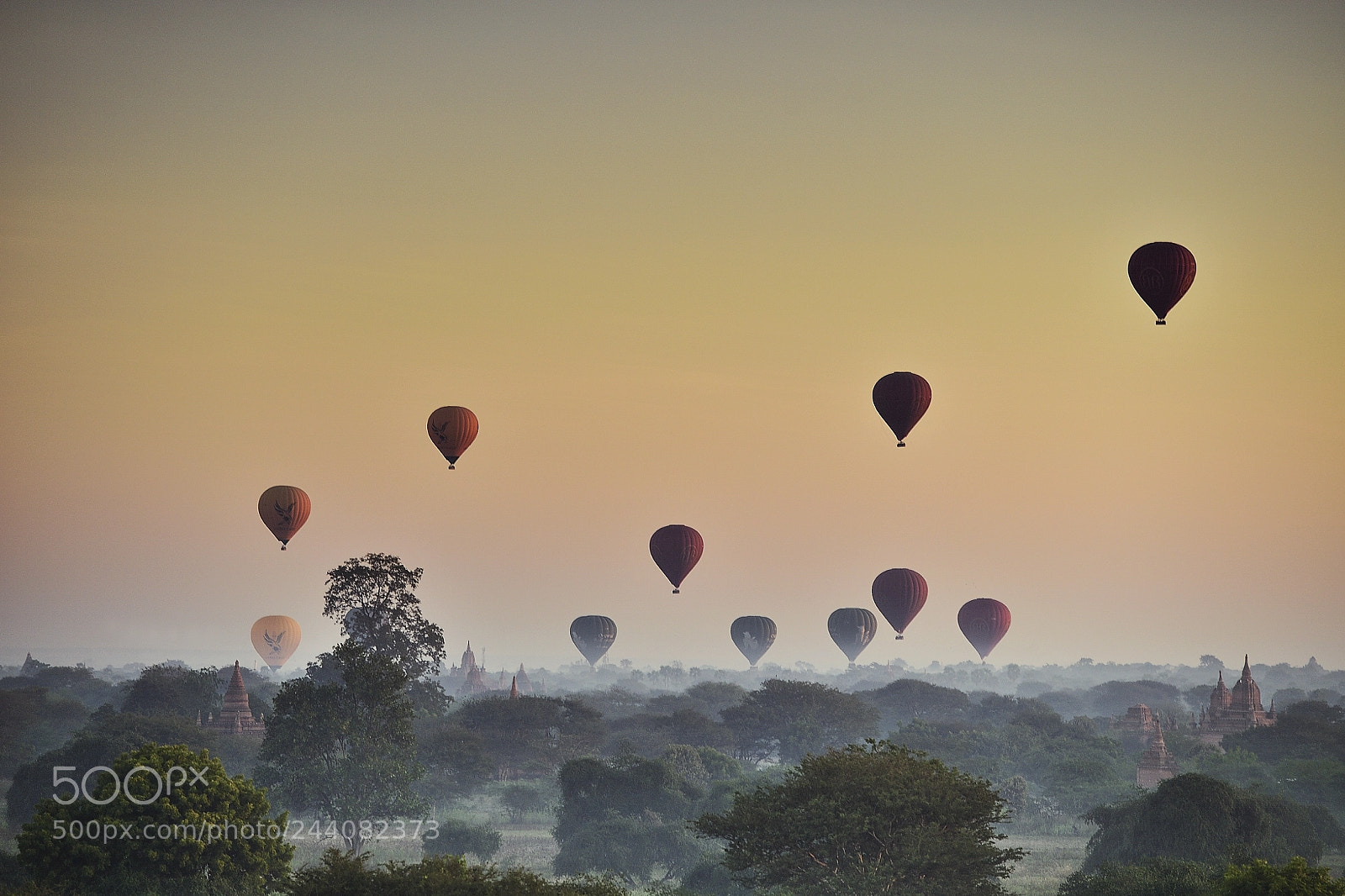 Nikon D5 sample photo. Happy morning photography