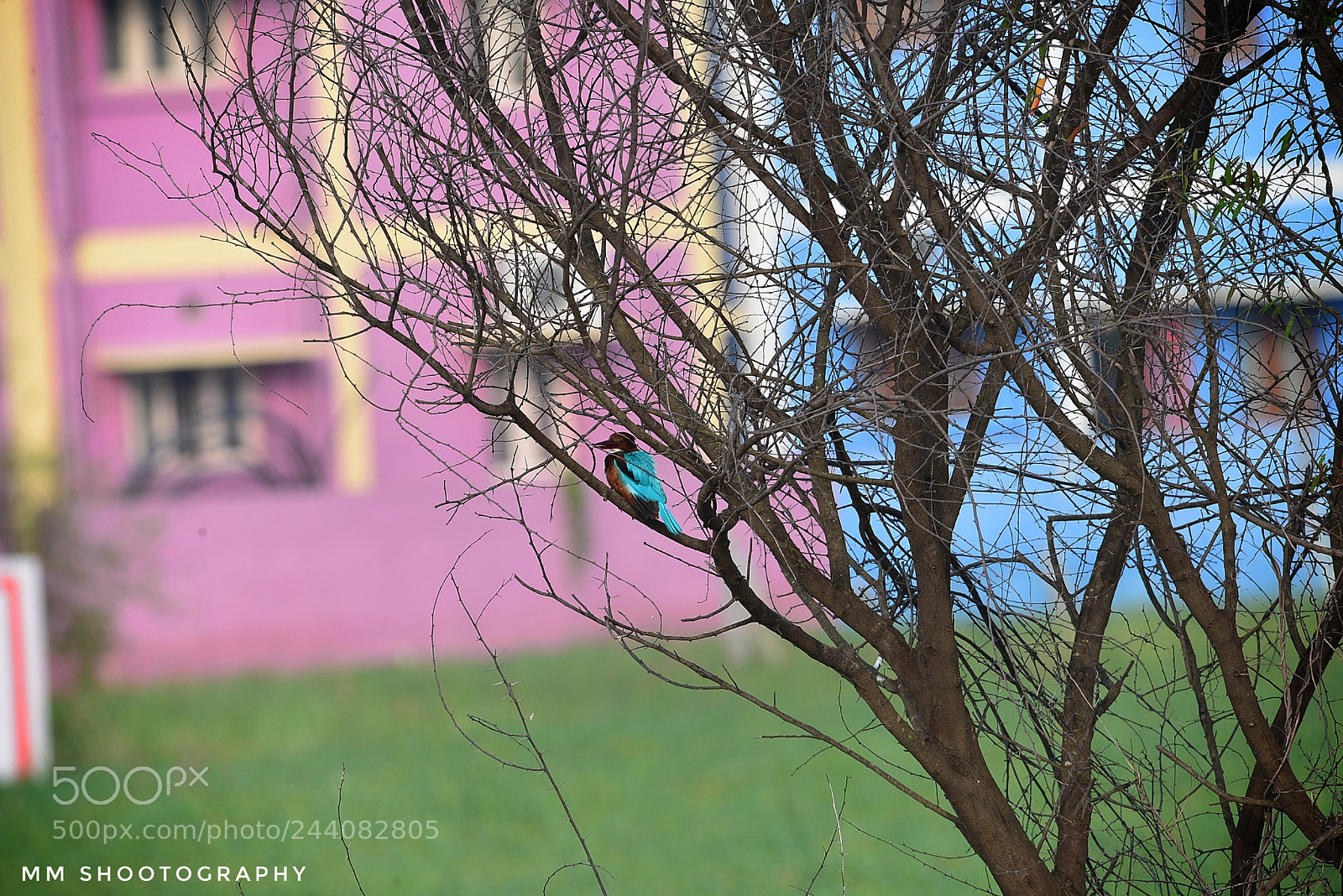 Nikon D610 sample photo. Colours behind photography