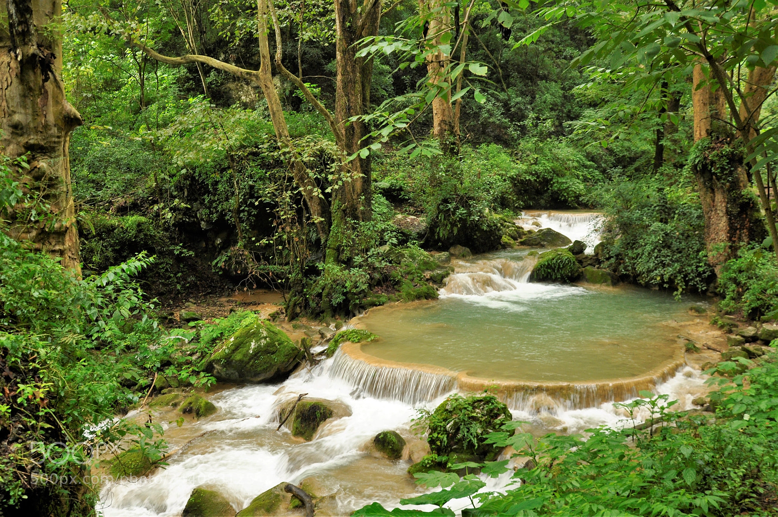 Nikon D90 sample photo. Natural pool photography