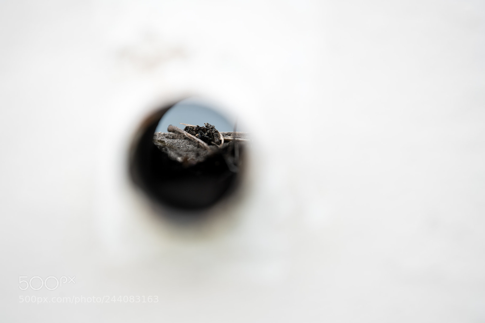 Nikon D5 sample photo. Sewer on wall photography