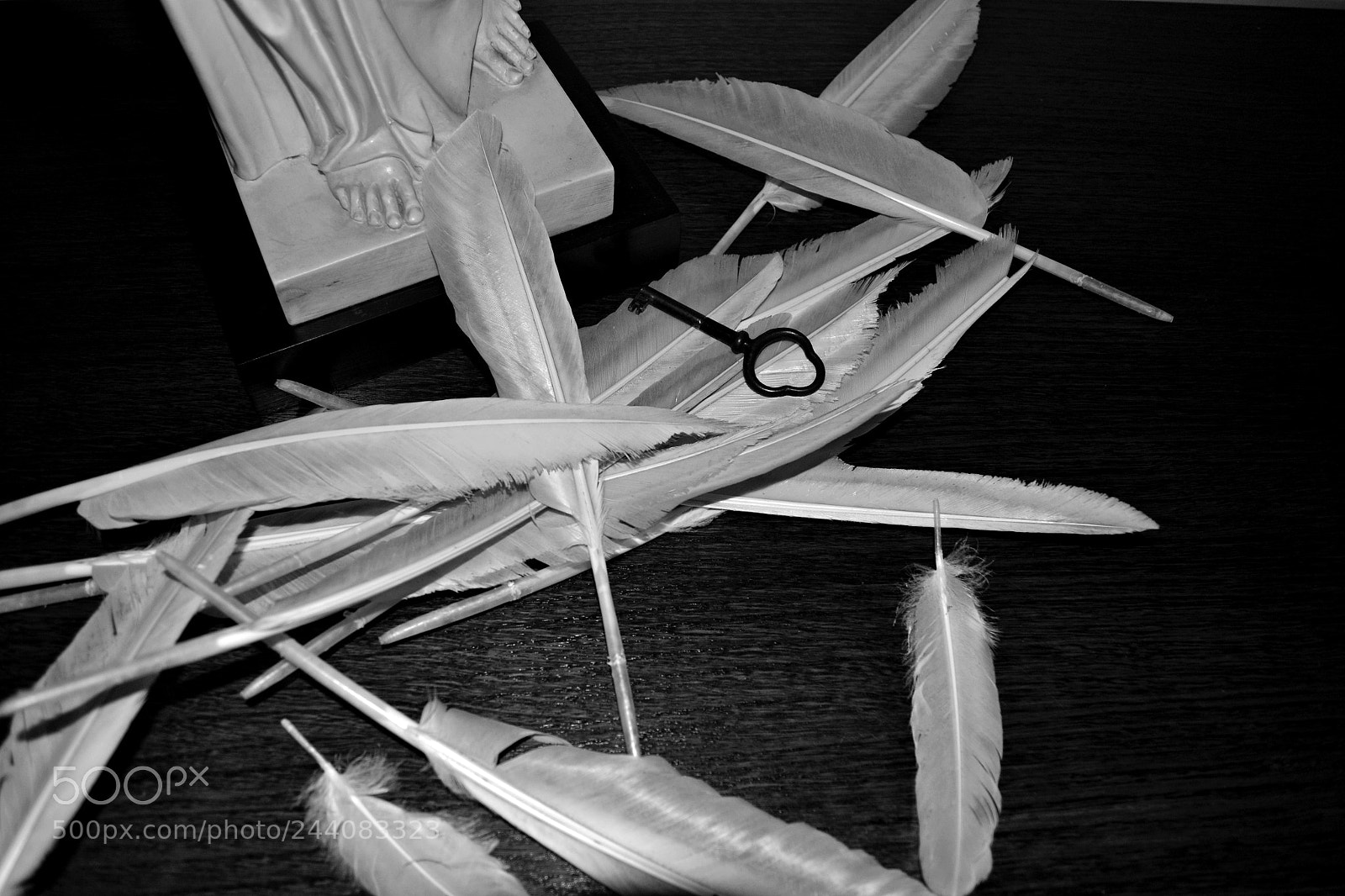 Nikon D3100 sample photo. Searching for meaning photography