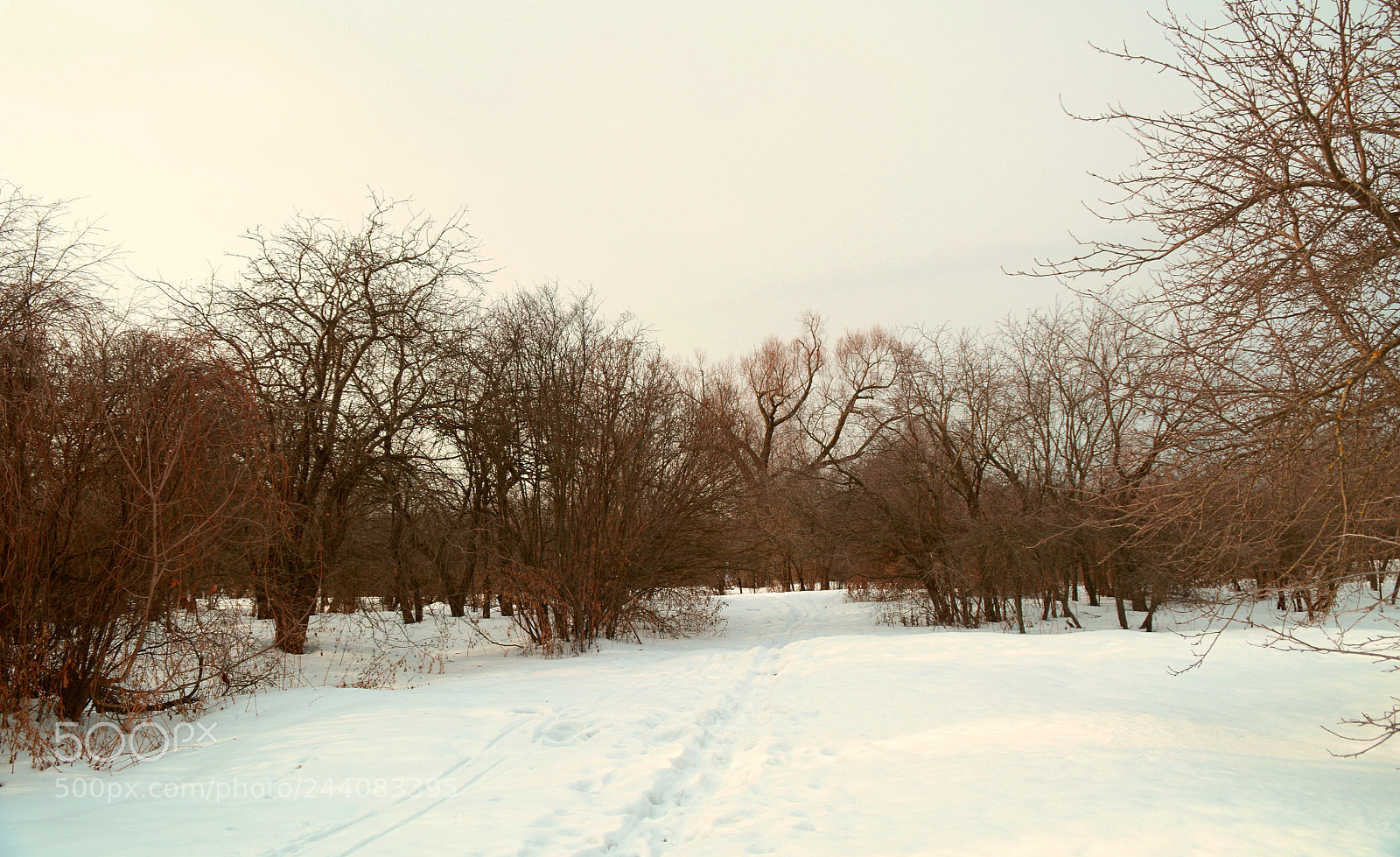 Nikon D7100 sample photo. Зима photography