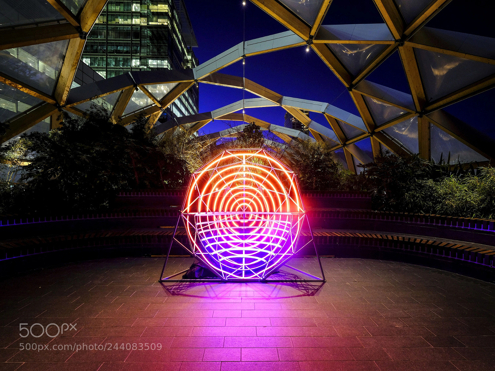 Fujifilm X-T2 sample photo. Bullseye photography