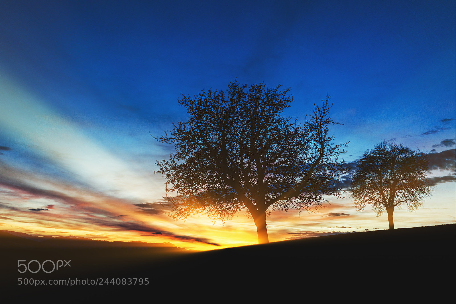 Sony Cyber-shot DSC-RX1R sample photo. Sunset photography