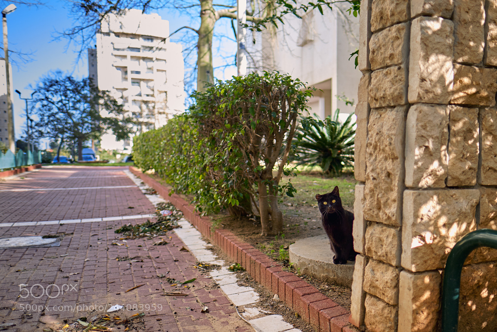 Fujifilm X-T2 sample photo. Curious photography