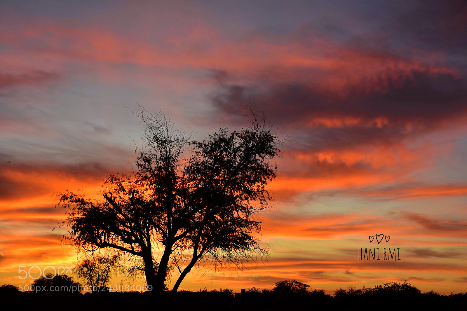 Nikon D7200 sample photo. #sky photography