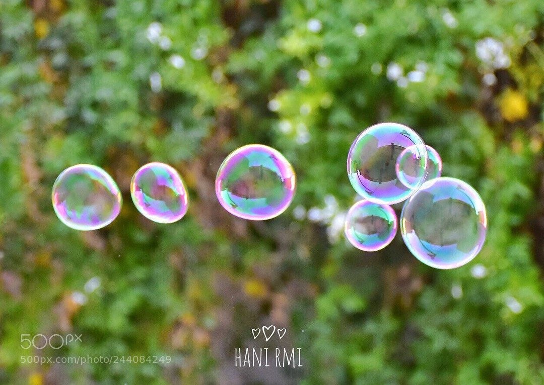 Nikon D7200 sample photo. Untitled photography