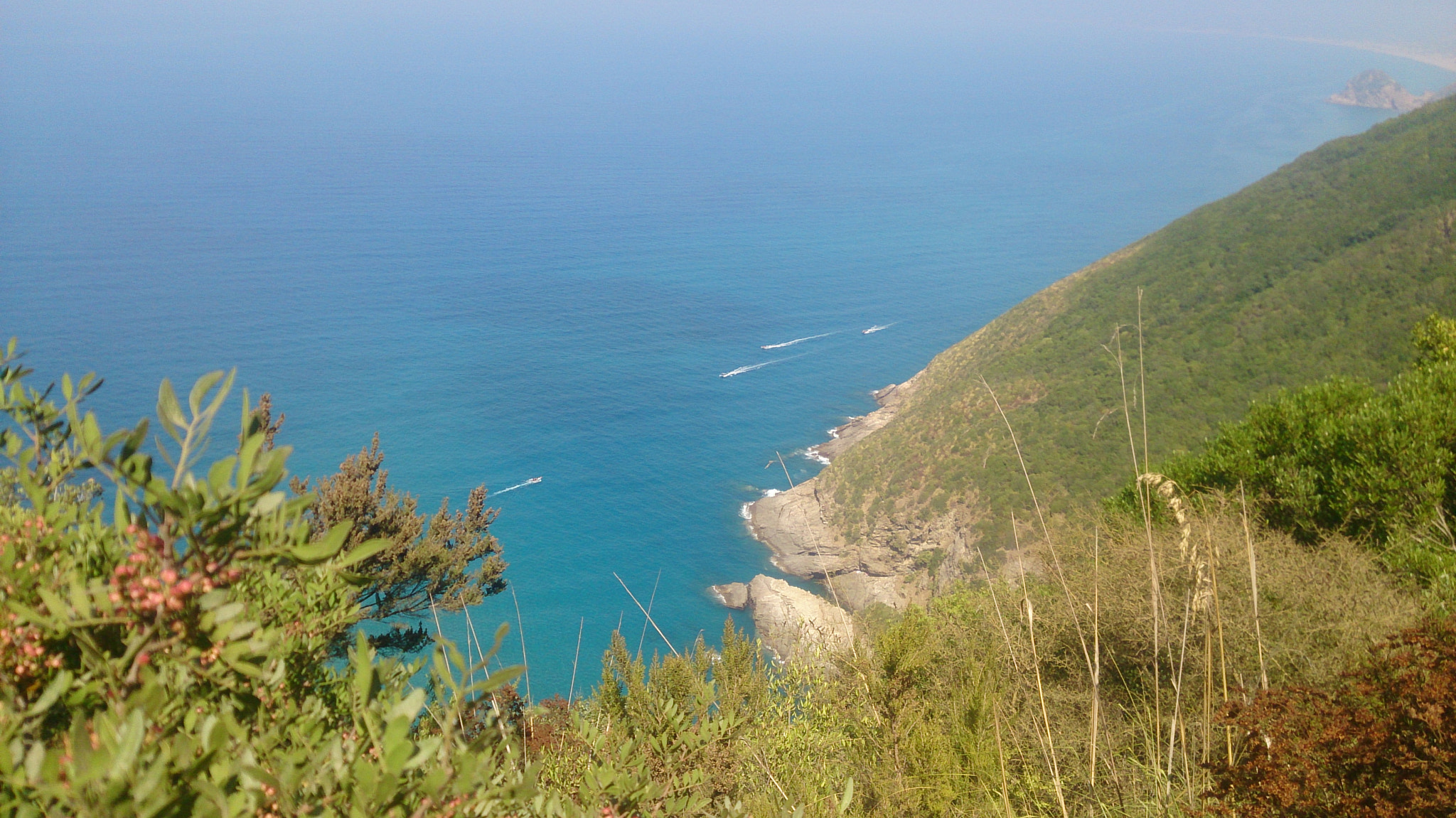 Sony Xperia Z sample photo. Wild beach photography
