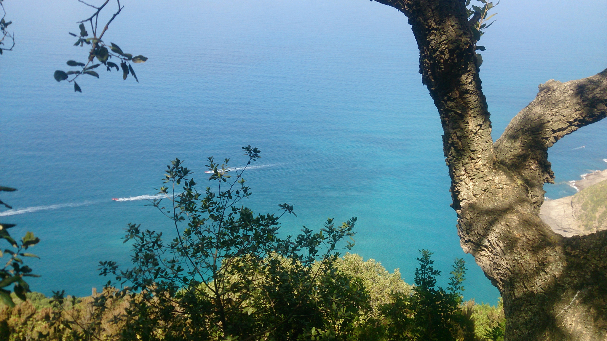 Sony Xperia Z sample photo. Wild beach photography