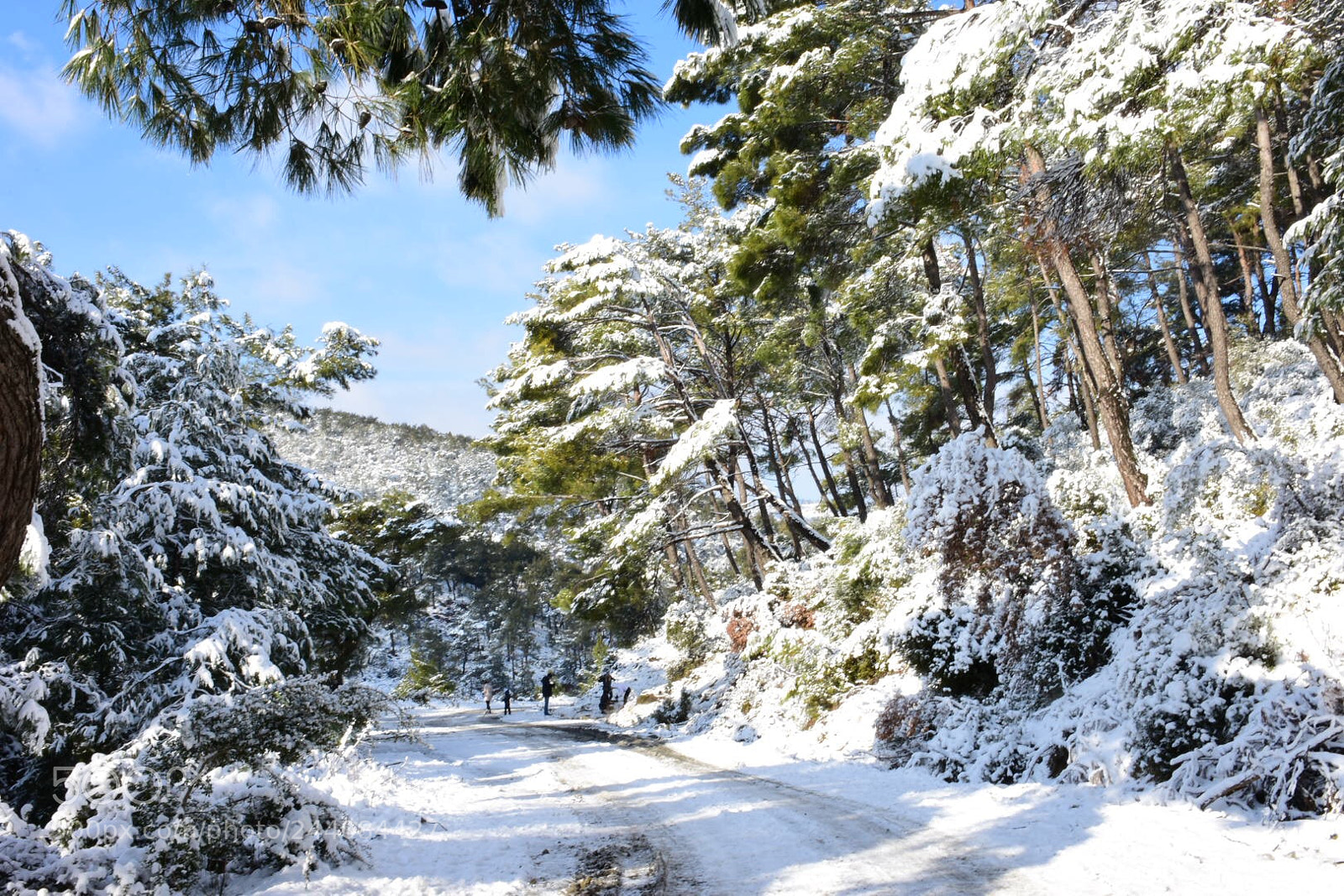Nikon D7200 sample photo. Walking in the healthkit photography
