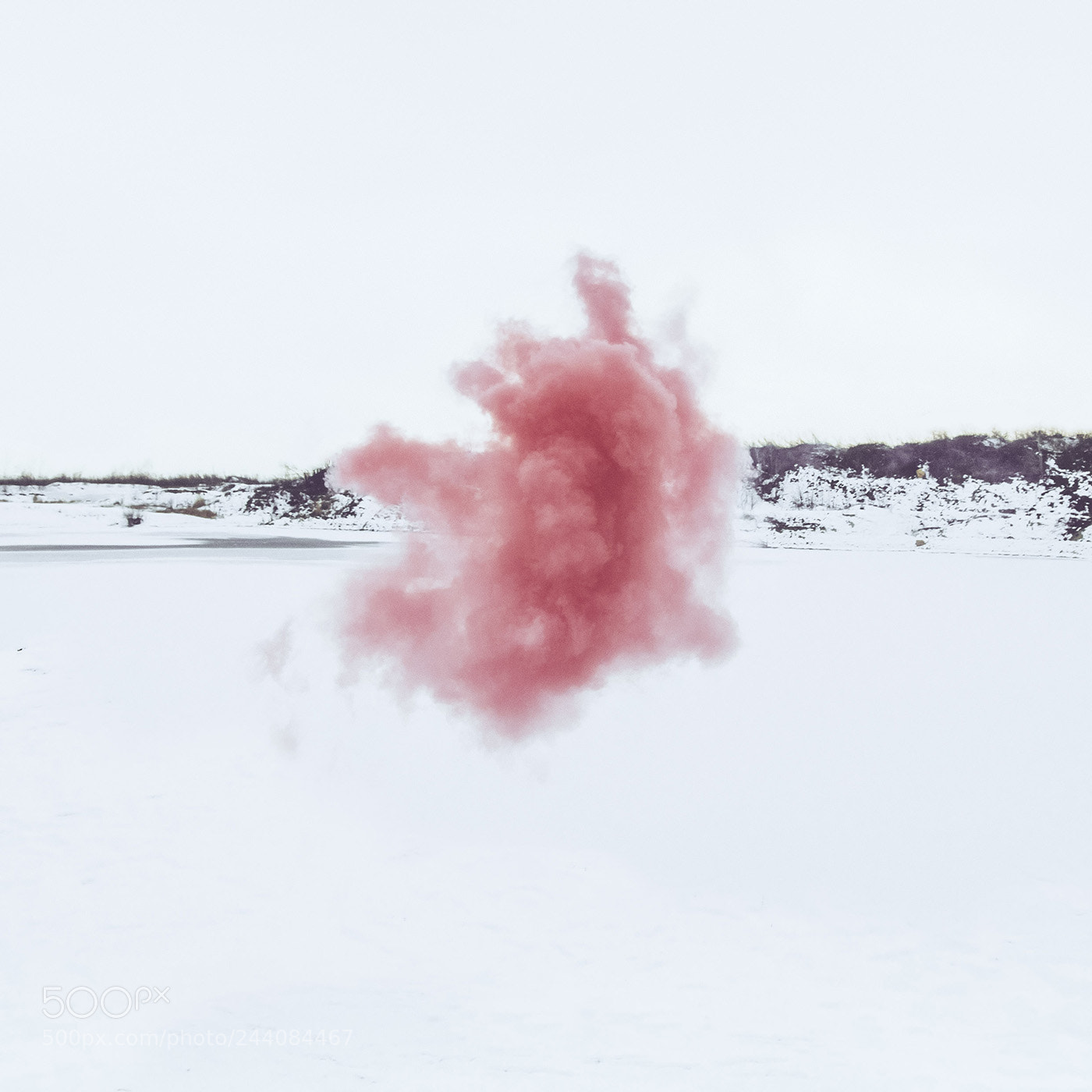 Nikon D610 sample photo. Pink photography