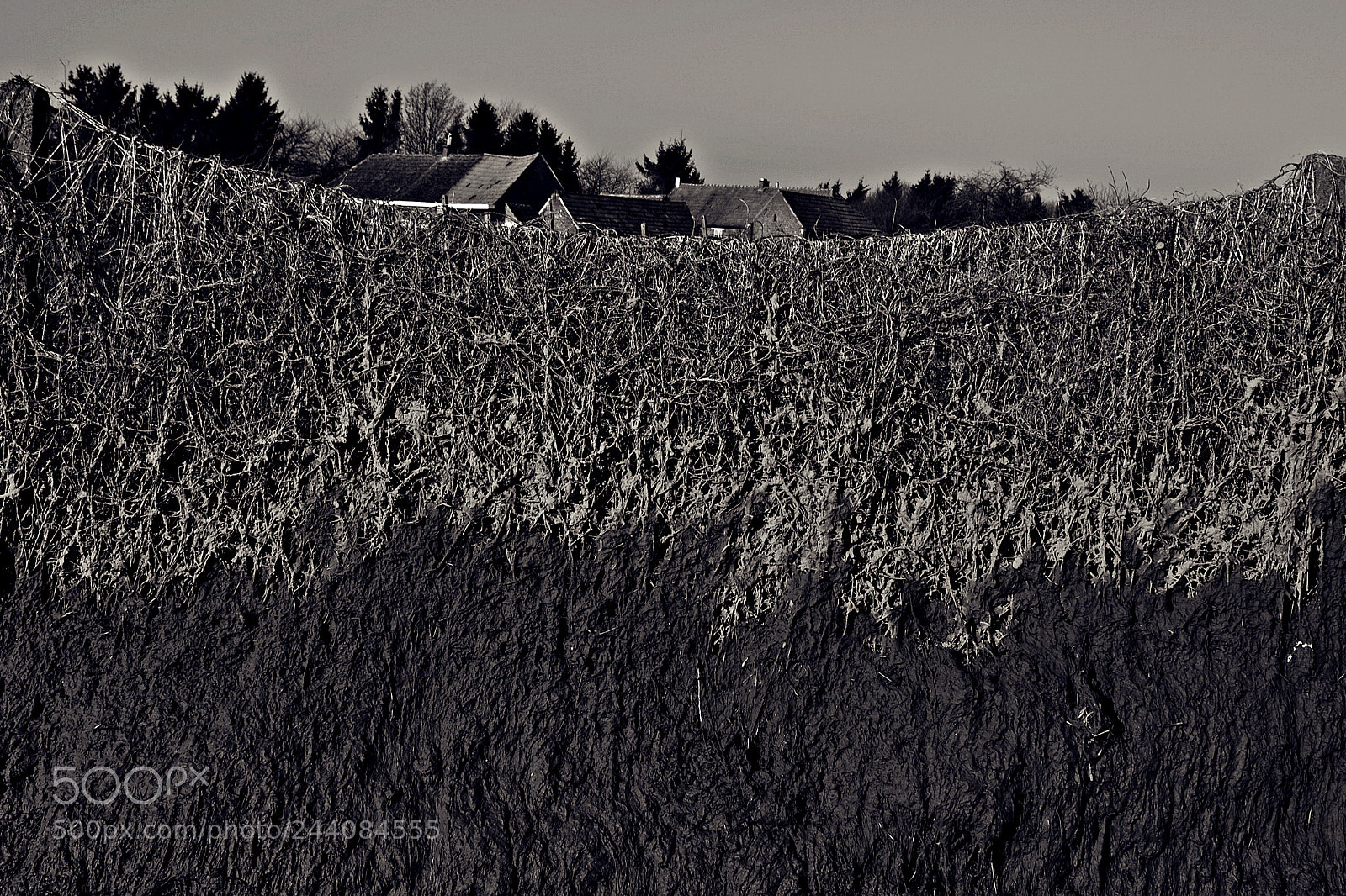 Nikon D3100 sample photo. Mud. photography