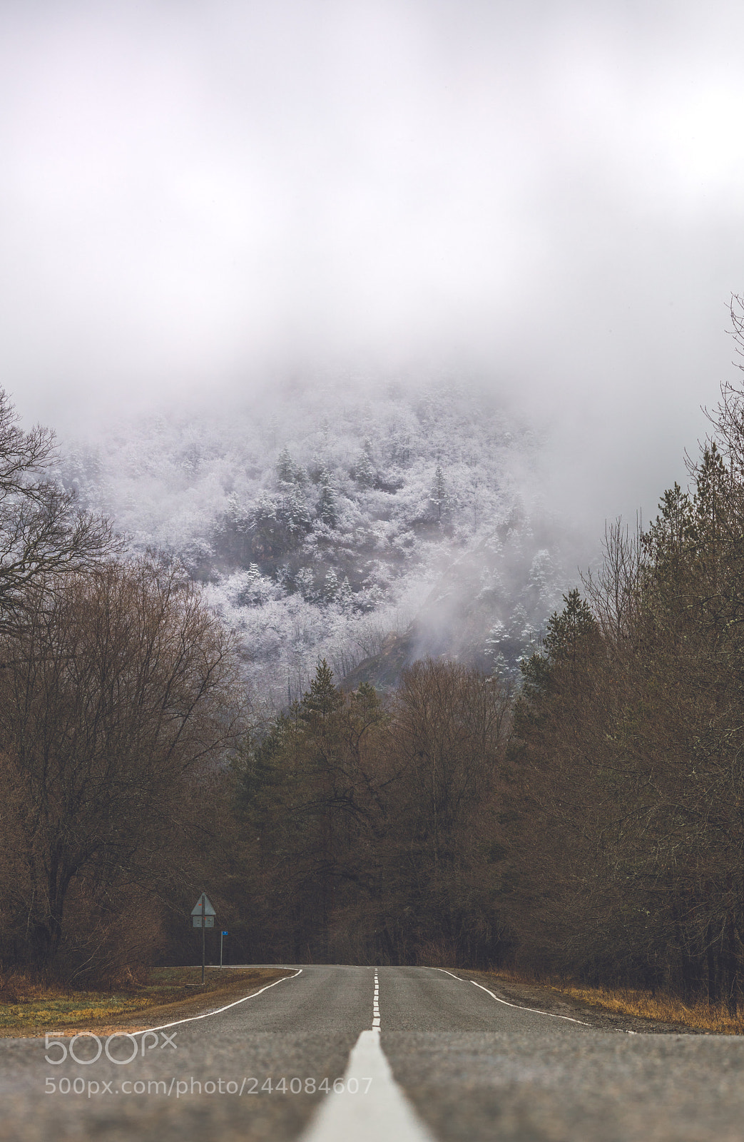 Canon EOS 5DS R sample photo. All seasons photography