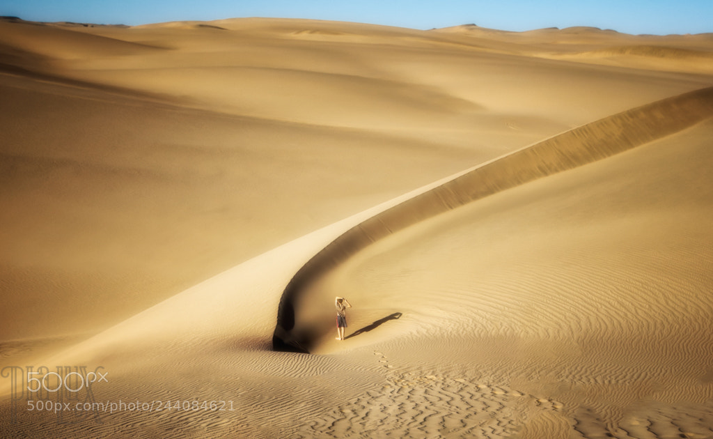 Sony Alpha DSLR-A350 sample photo. In the dunes photography