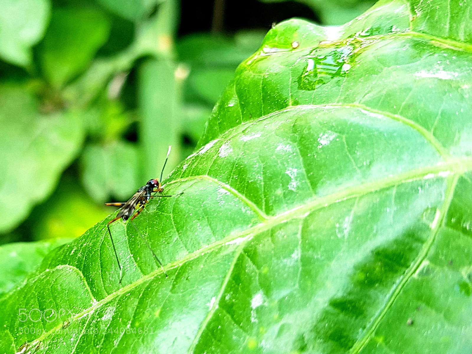 Samsung Galaxy S8+ sample photo. Untitled photography