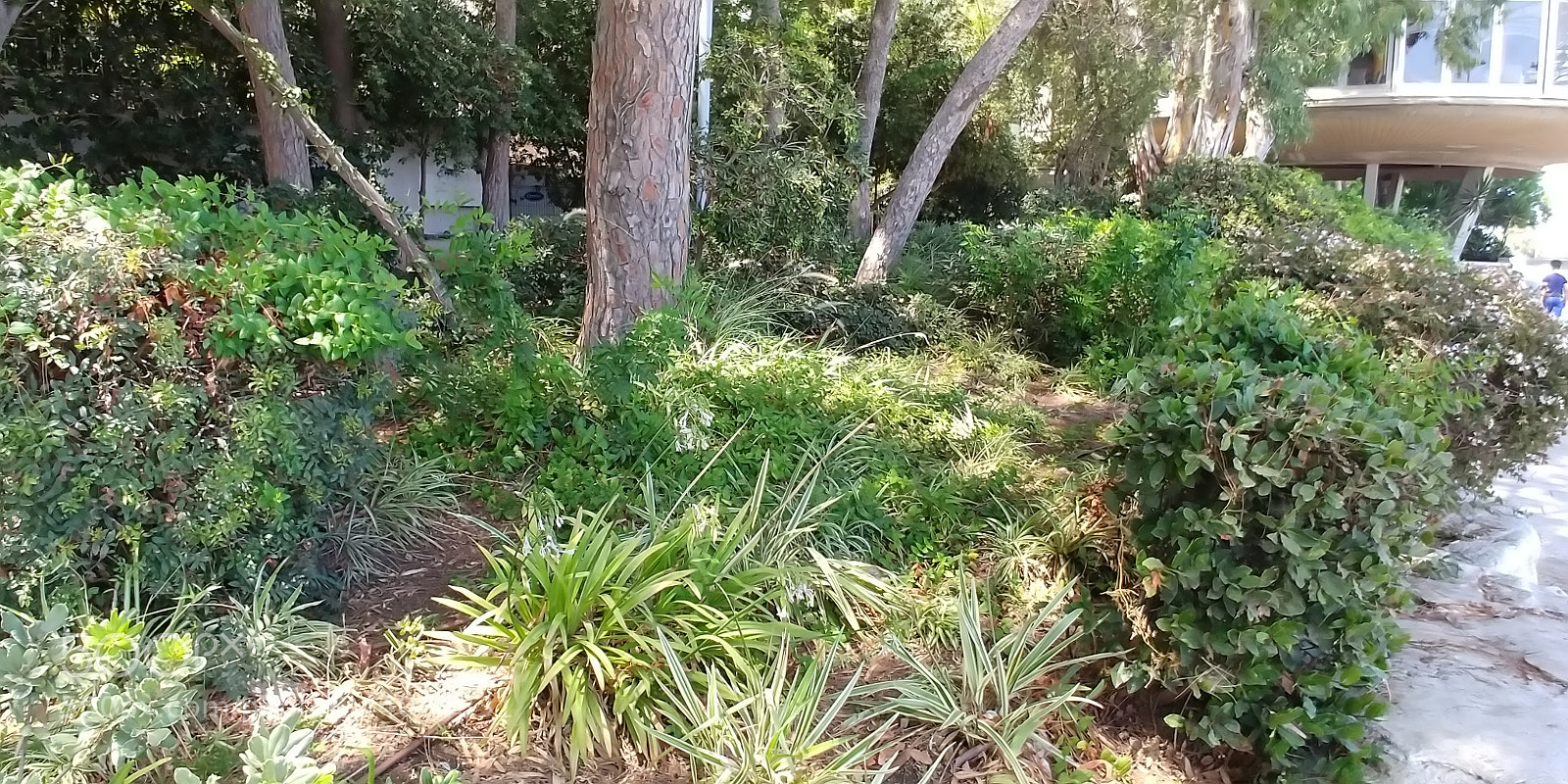 LG G6 sample photo. Haifa city photography